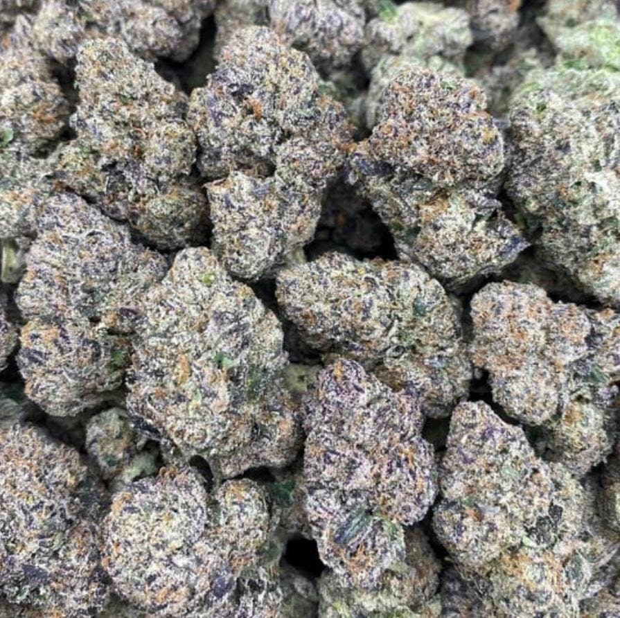 JET FUEL GELATO | SPECIAL 14G Exotic Indoor Flower | Hybrid🔥