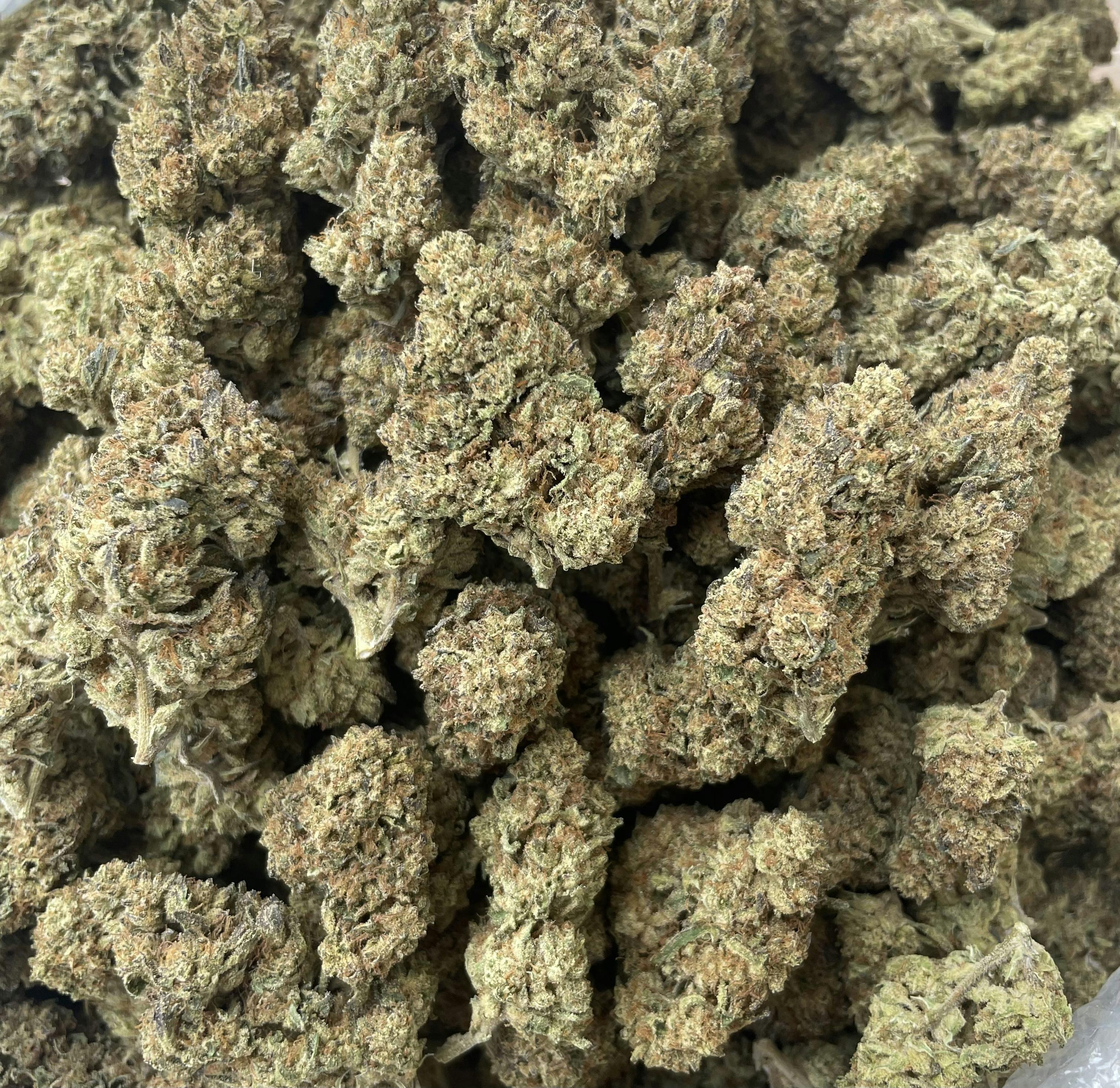LEMON OG | 14G Sungrown Flower Special