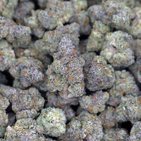 Lemon Cherry Gelato (Pink Runtz) smalls