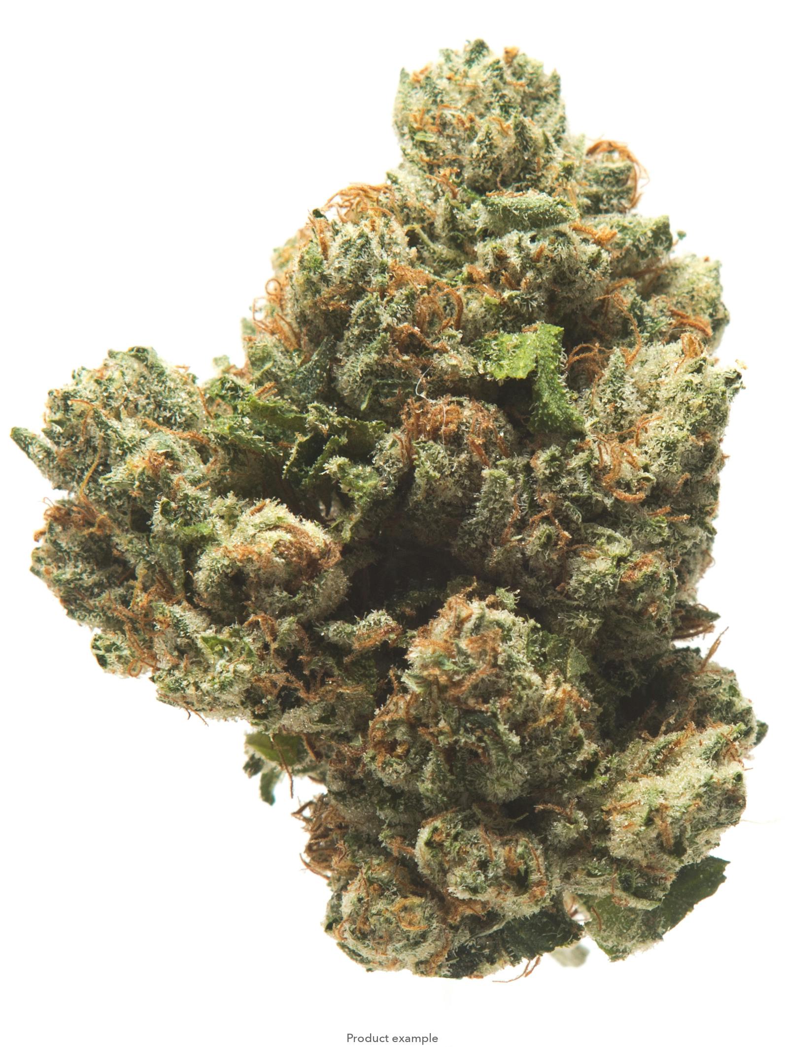 Alien OG