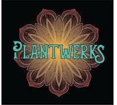 Plantwerks | 3.5g | Orange Kush at DABBS Cannabis Dispensary