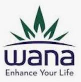 Peach Bellini - Sativa [10 pack] by Wana Edibles