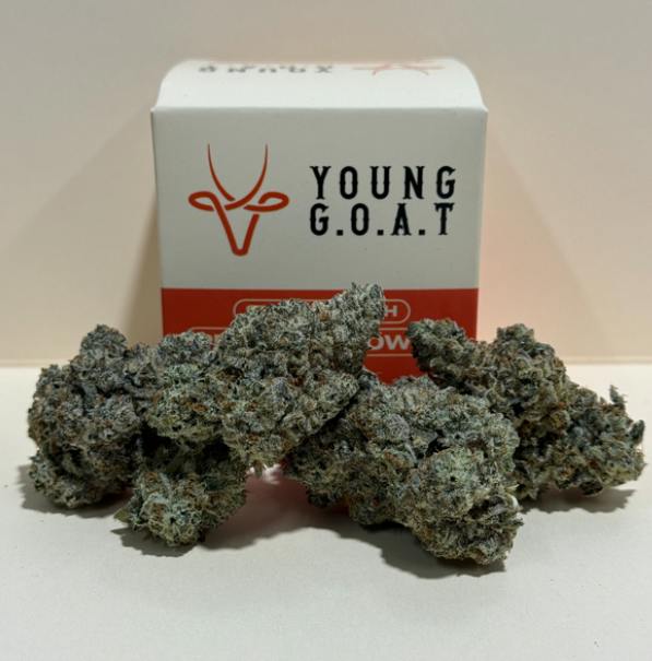 Young G.O.A.T | 3.5g | Octane Mints