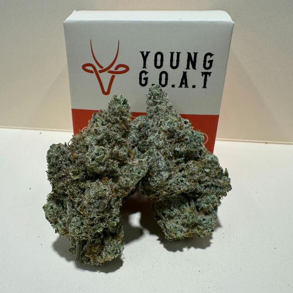 Young G.O.A.T | 3.5g | Rancid Rainbow