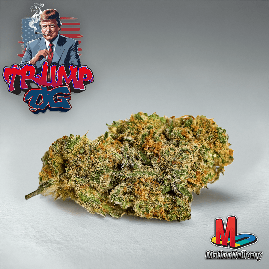 Trump OG
