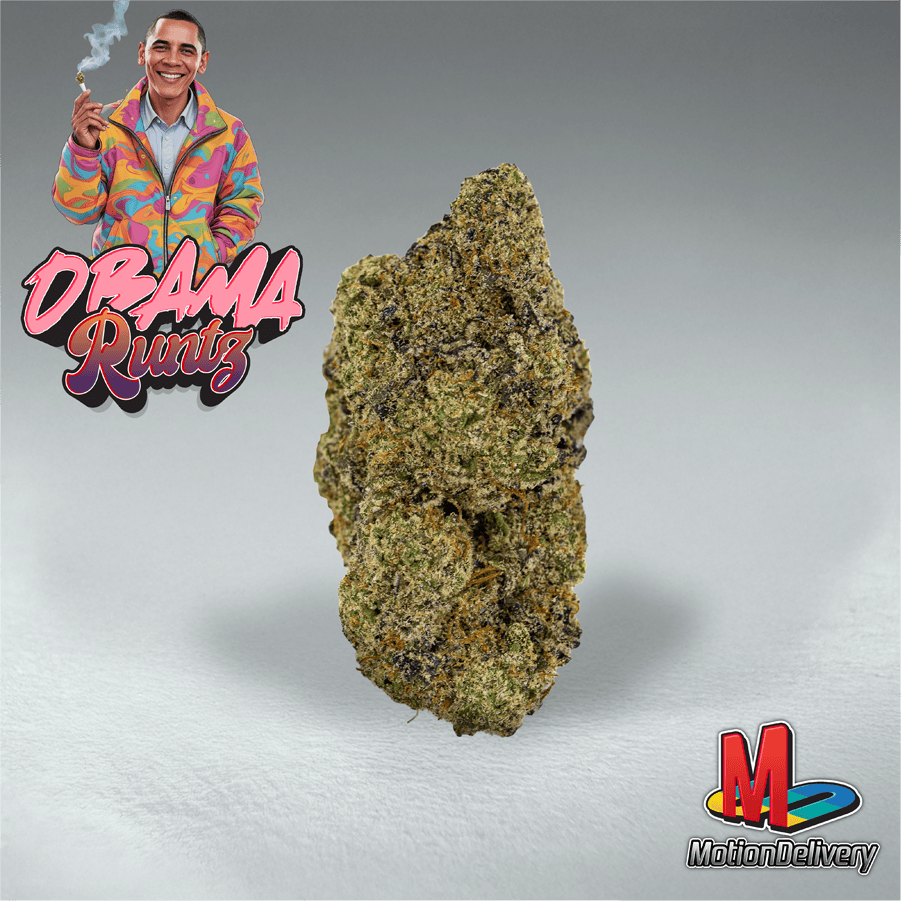 Obama Runtz