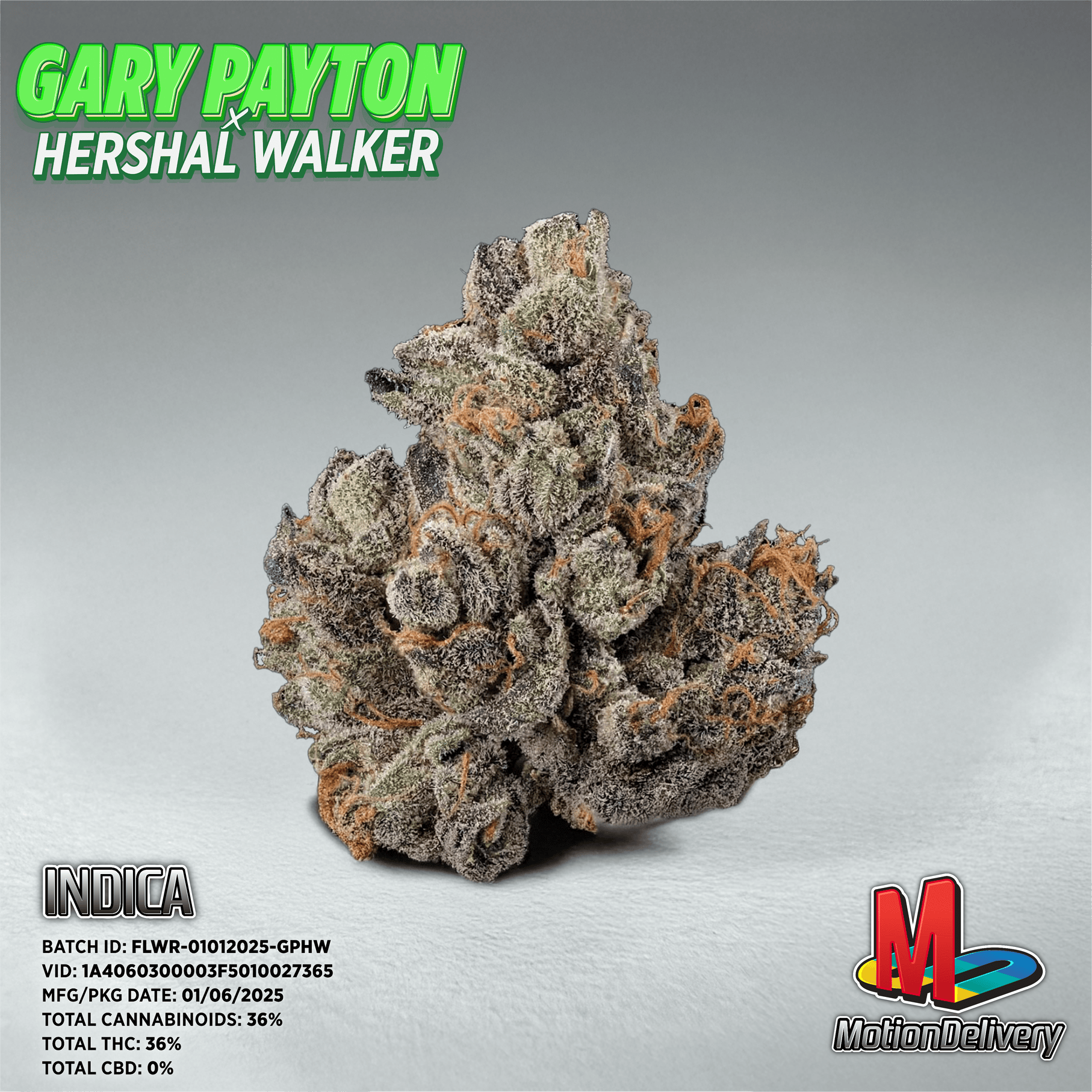 Gary Payton fire 🔥 indoor
