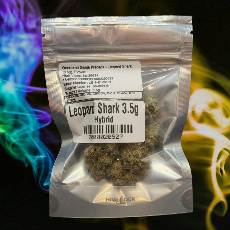 Leopard Shark