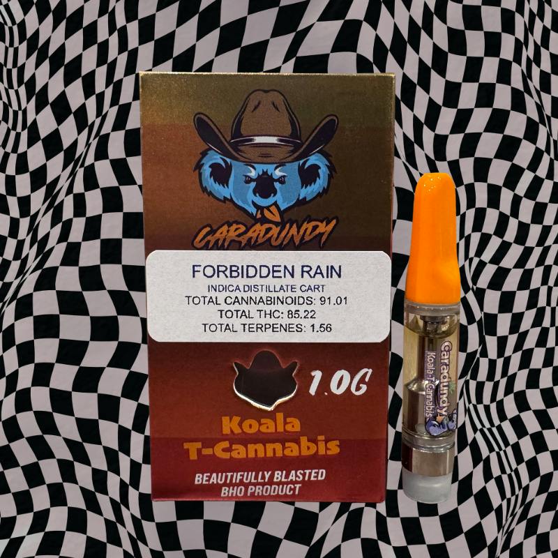 Forbidden Rain