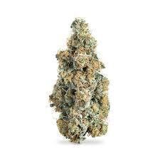 BUD - LEMON CHERRY PIE (LCP) REC