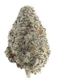 Bud - Coolio