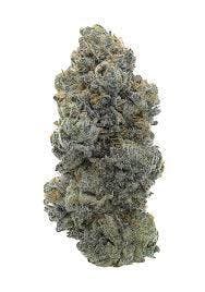 Trich Beast
