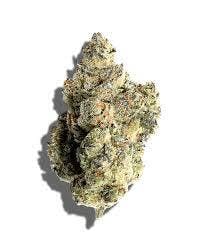BUD - Dogwalker (DWO) REC