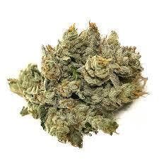 BUD - OG Kush (OGK)
