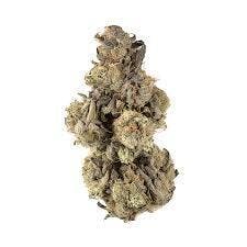 BUD - HAWAIIAN SUNKIST
