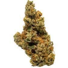 Lemonhead Delight