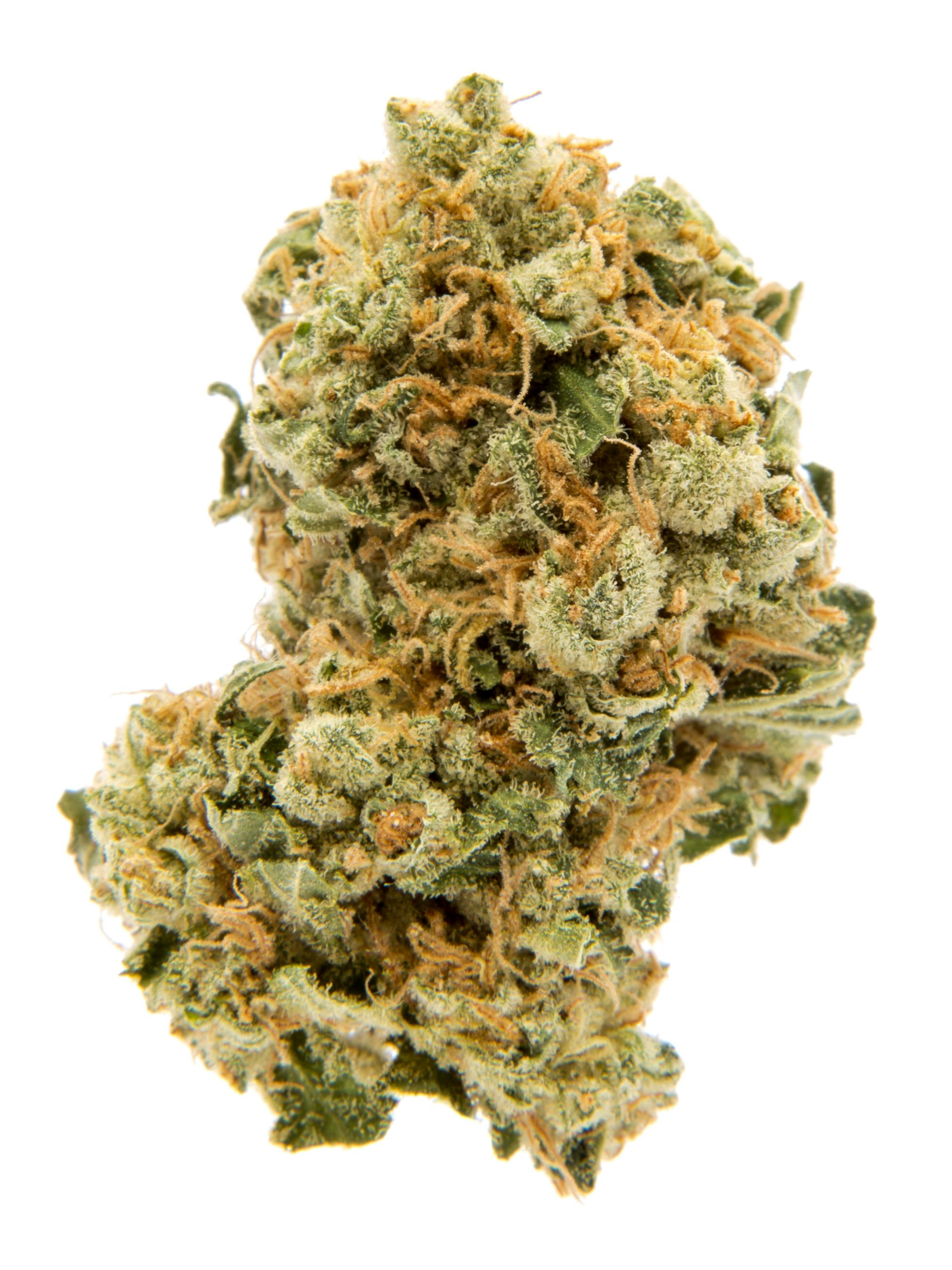 Paper Planes: Lemon Haze