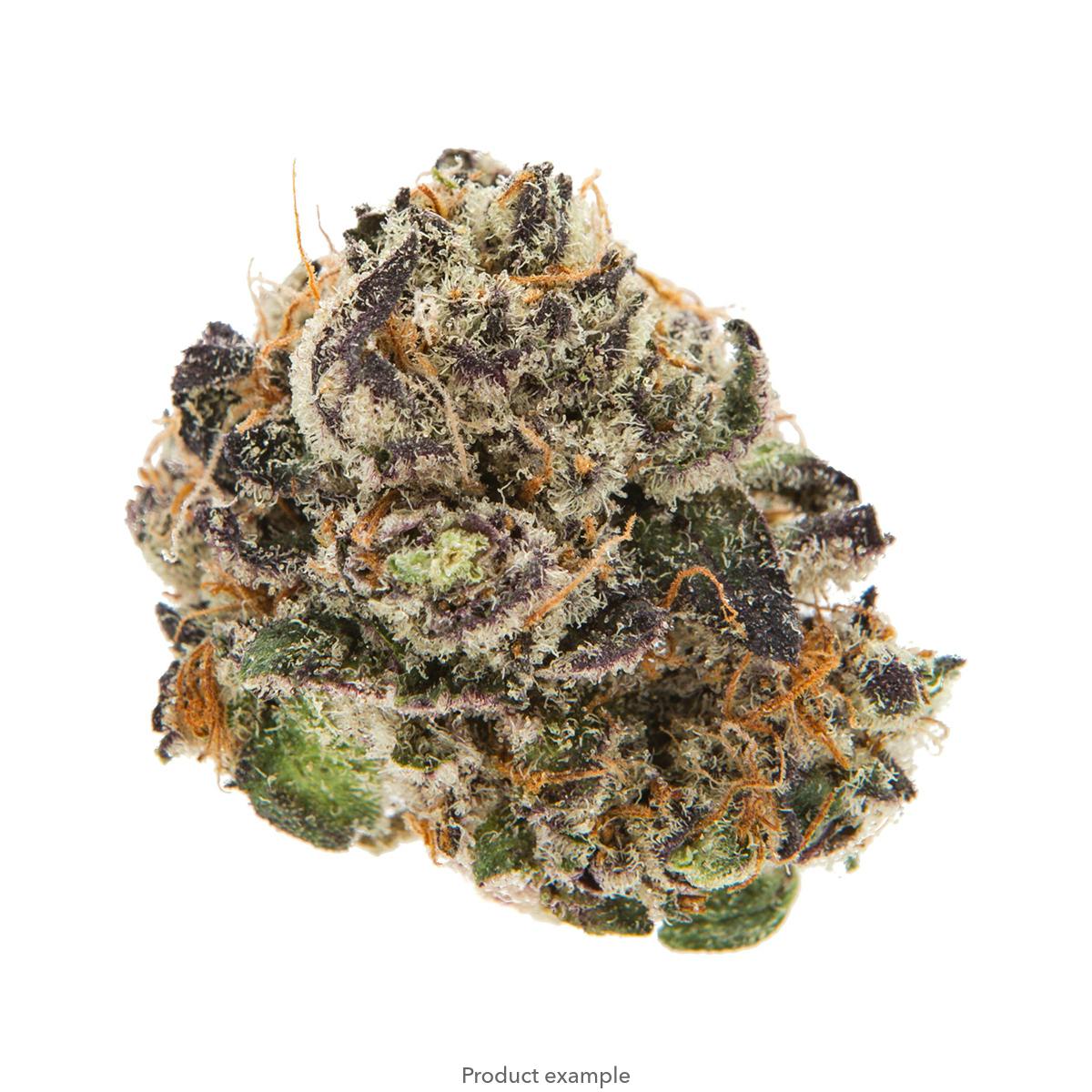 Alien Sherbert