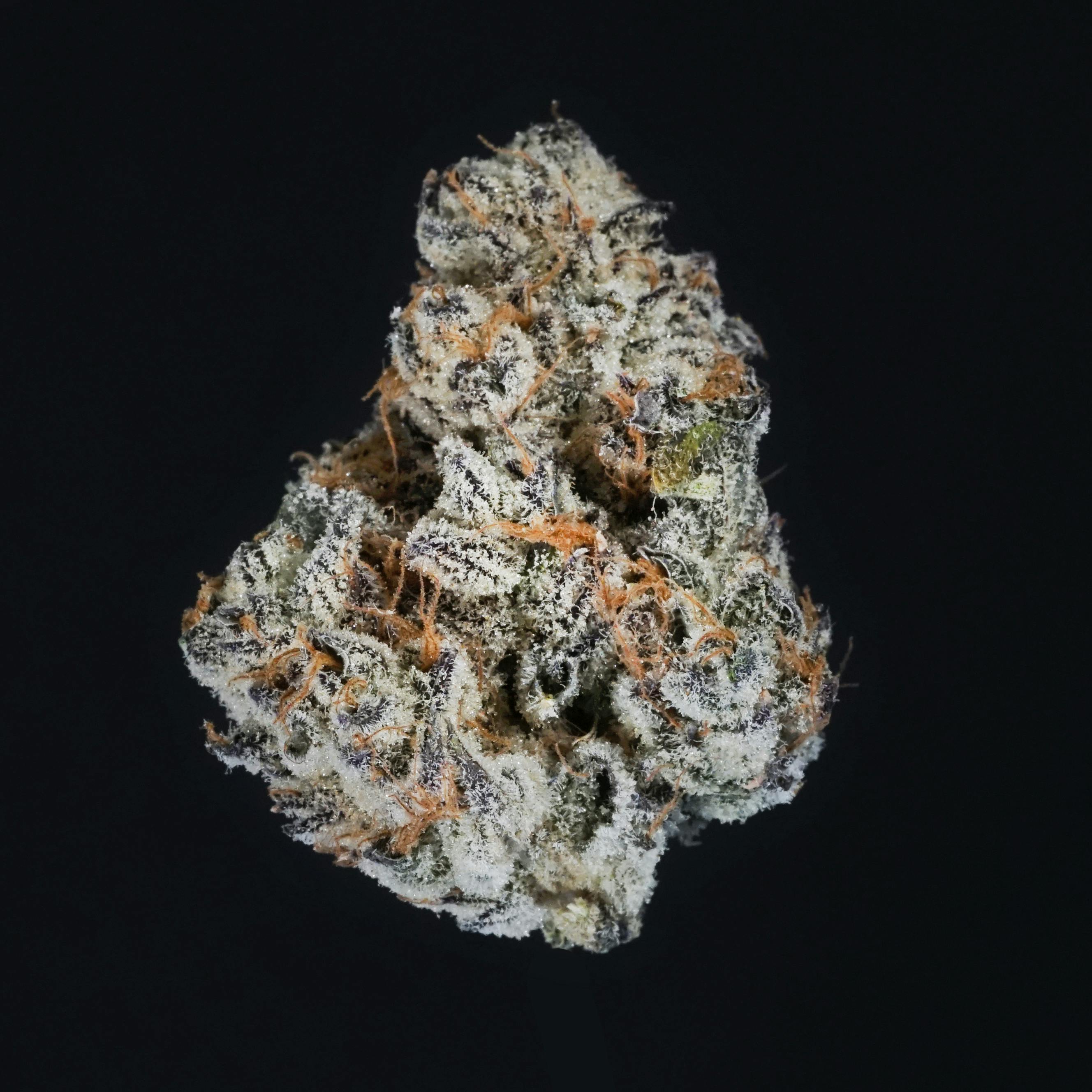 Flower - Modified Grapes 80/20 Indica Dominant cannabis product