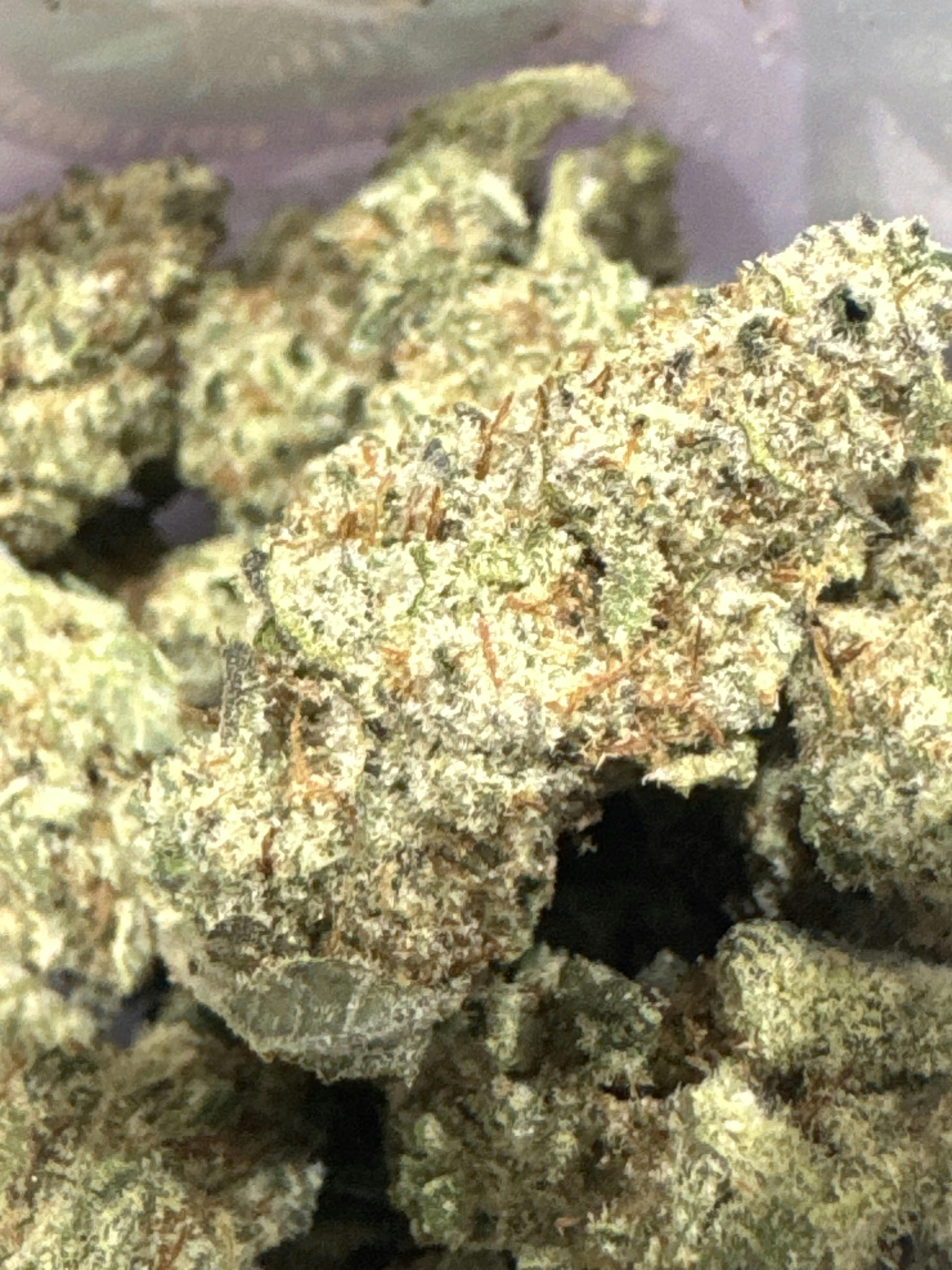 Super Skunk