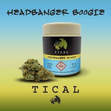 TICAL | Headbanger Boogie Flower