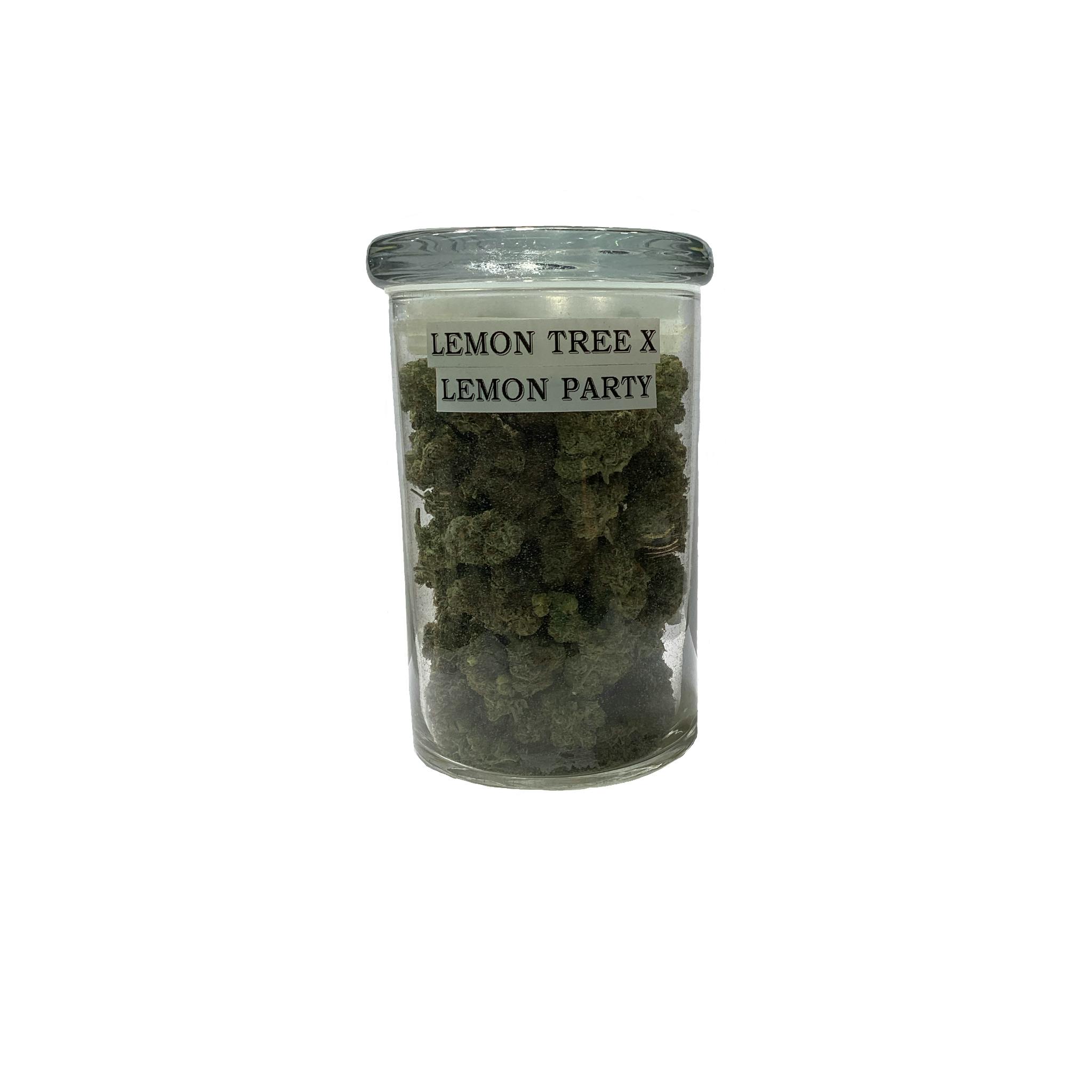Lemon Tree x Lemon Party