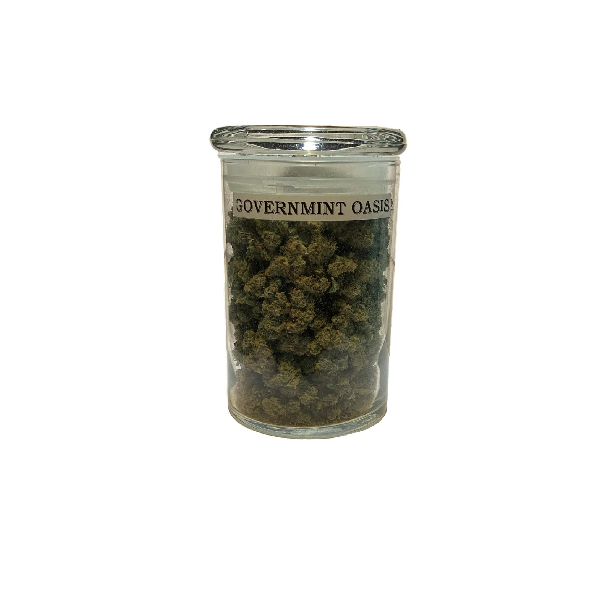 Governmint Oasis