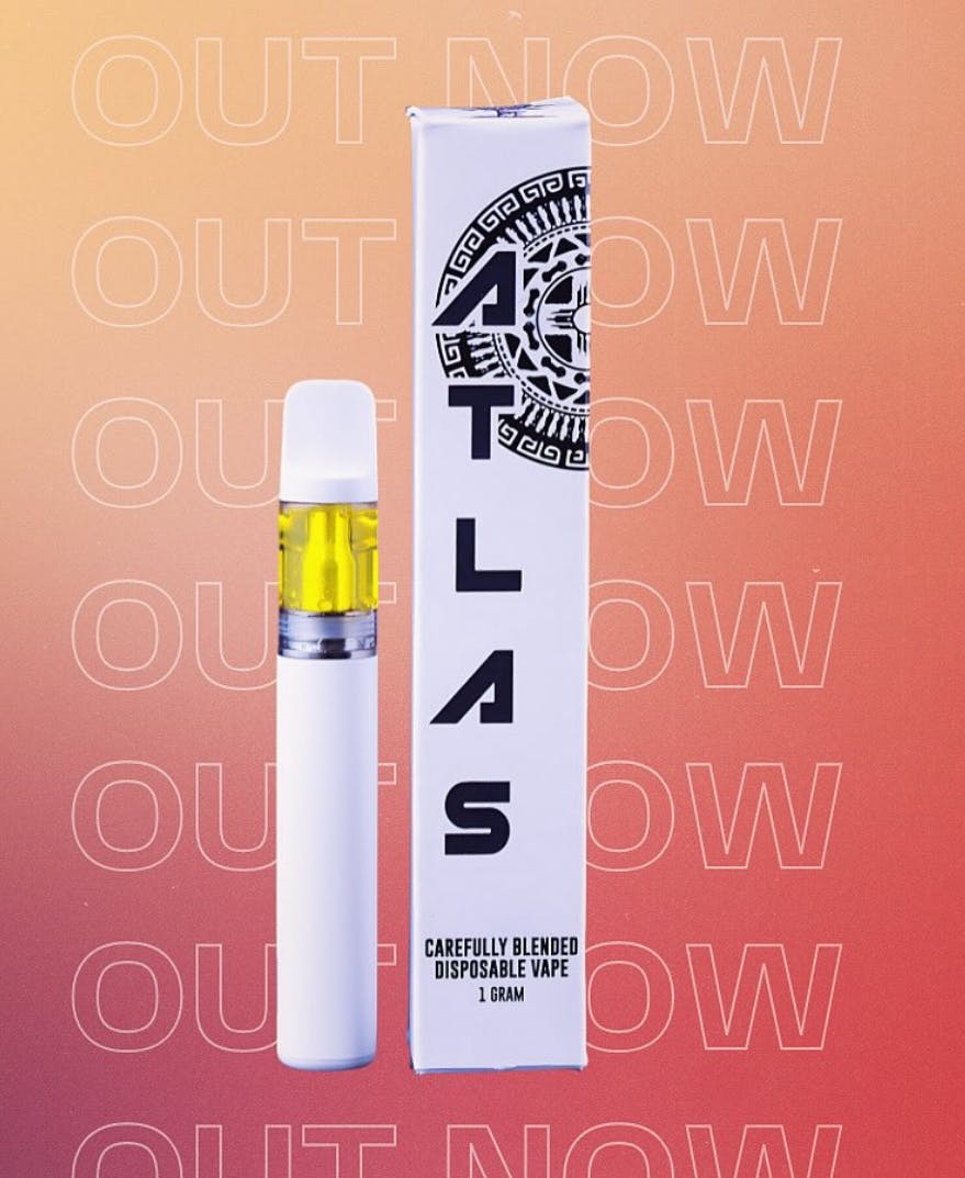 Sherbinski Bacio Gelato Disposable (H)