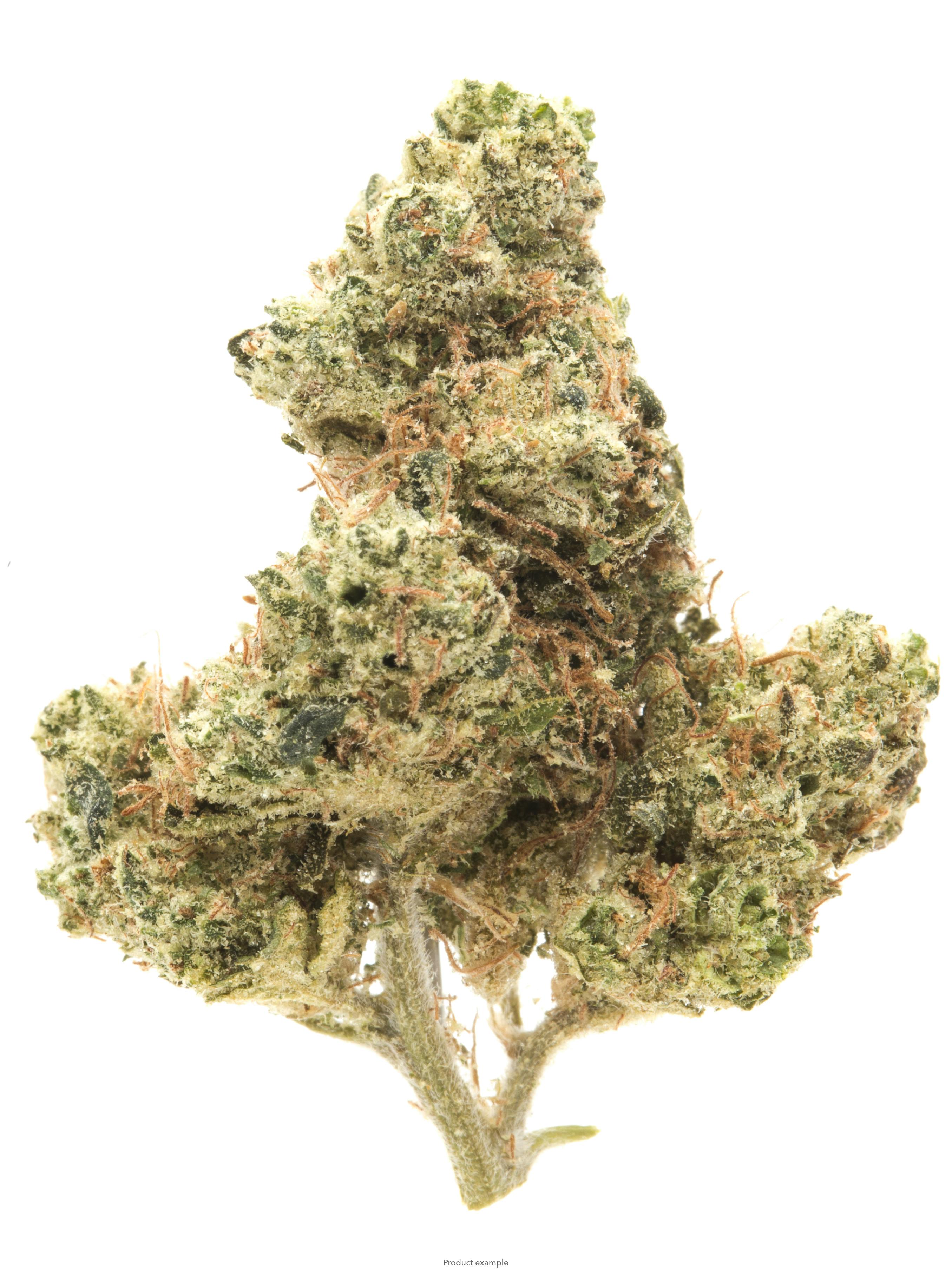MID SHELF Pre-Packed Flower- Don Mega 27.84% (Indica)