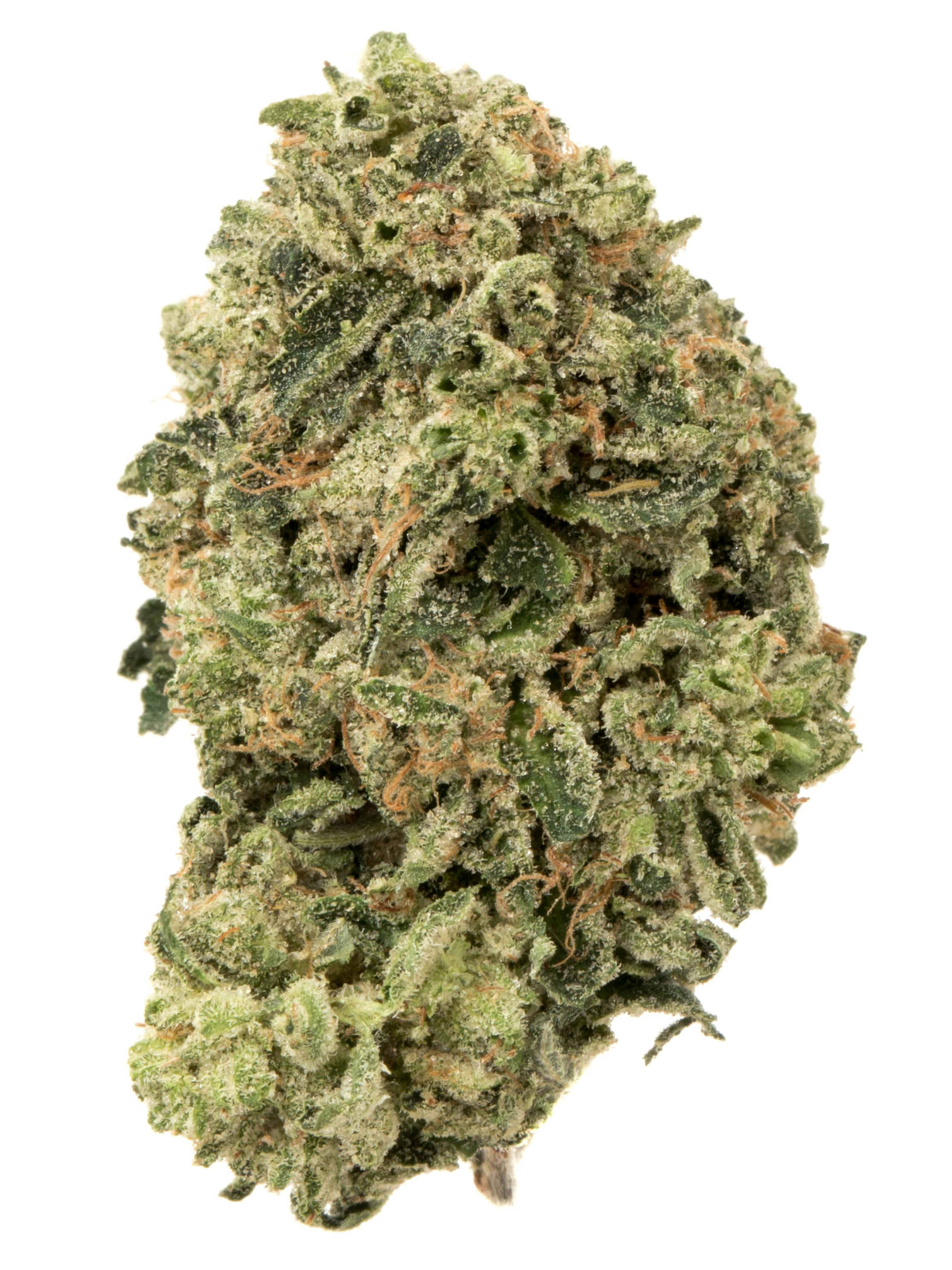 TOP SHELF Pre-Packed Flower- Oreoz (HONEY HOLE) 30.27% (Indica)