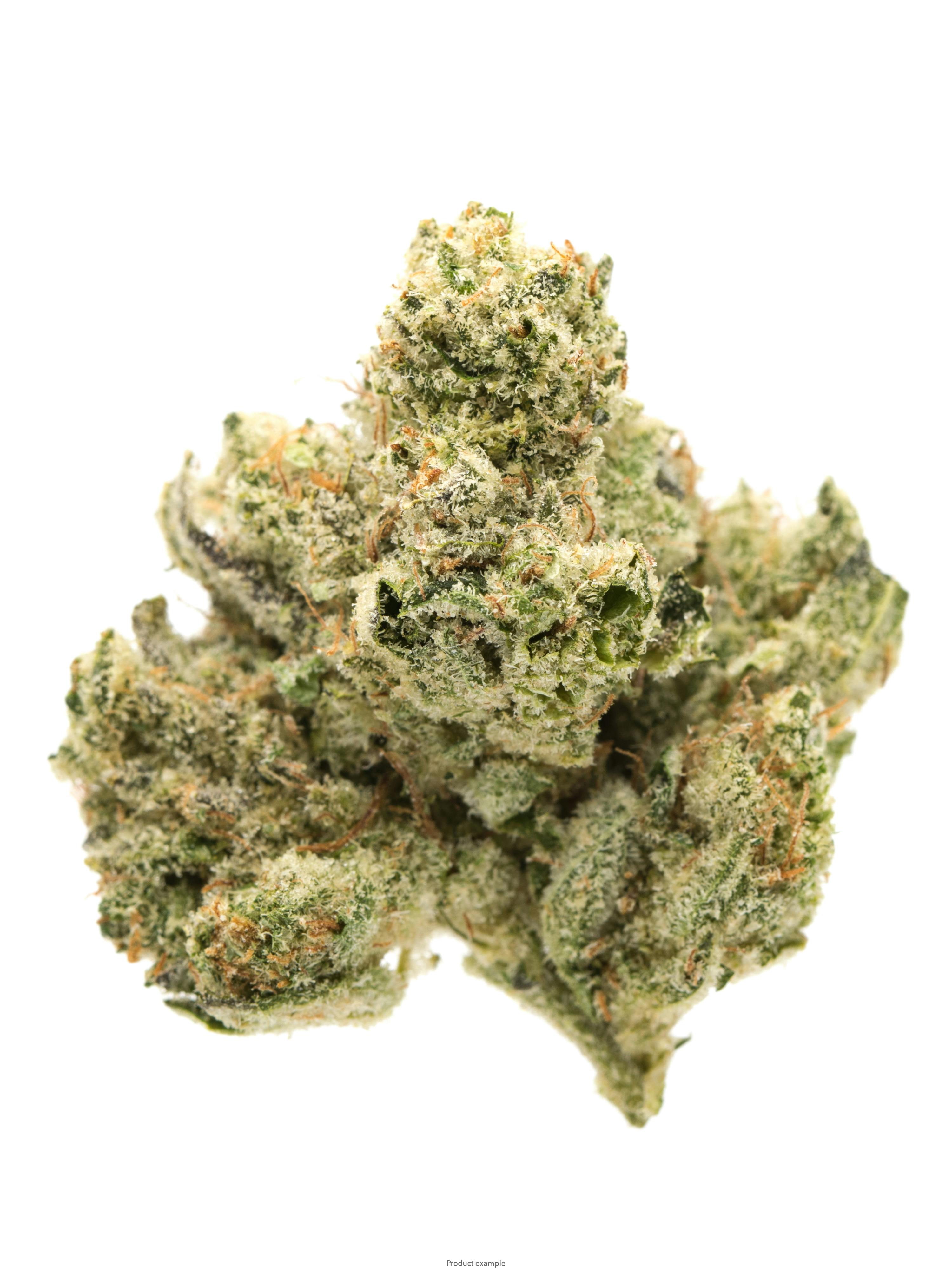 MID SHELF Pre-Packed Flower- Gorilla Cream 28.11% (Indica)