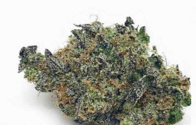 MID SHELF Pre-Packed Flower- Sherbz 27.82% (Indica)