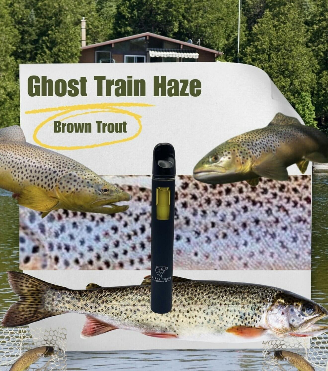 Ghost Train Haze | Disposable | 2g