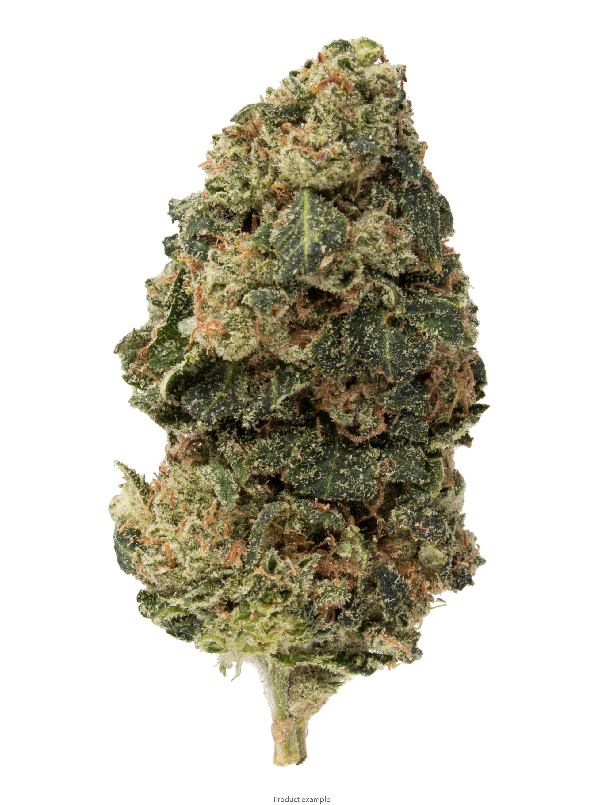 TOP Shelf Pre-Packed Flower- Motor Breath 27.57% (Indica)