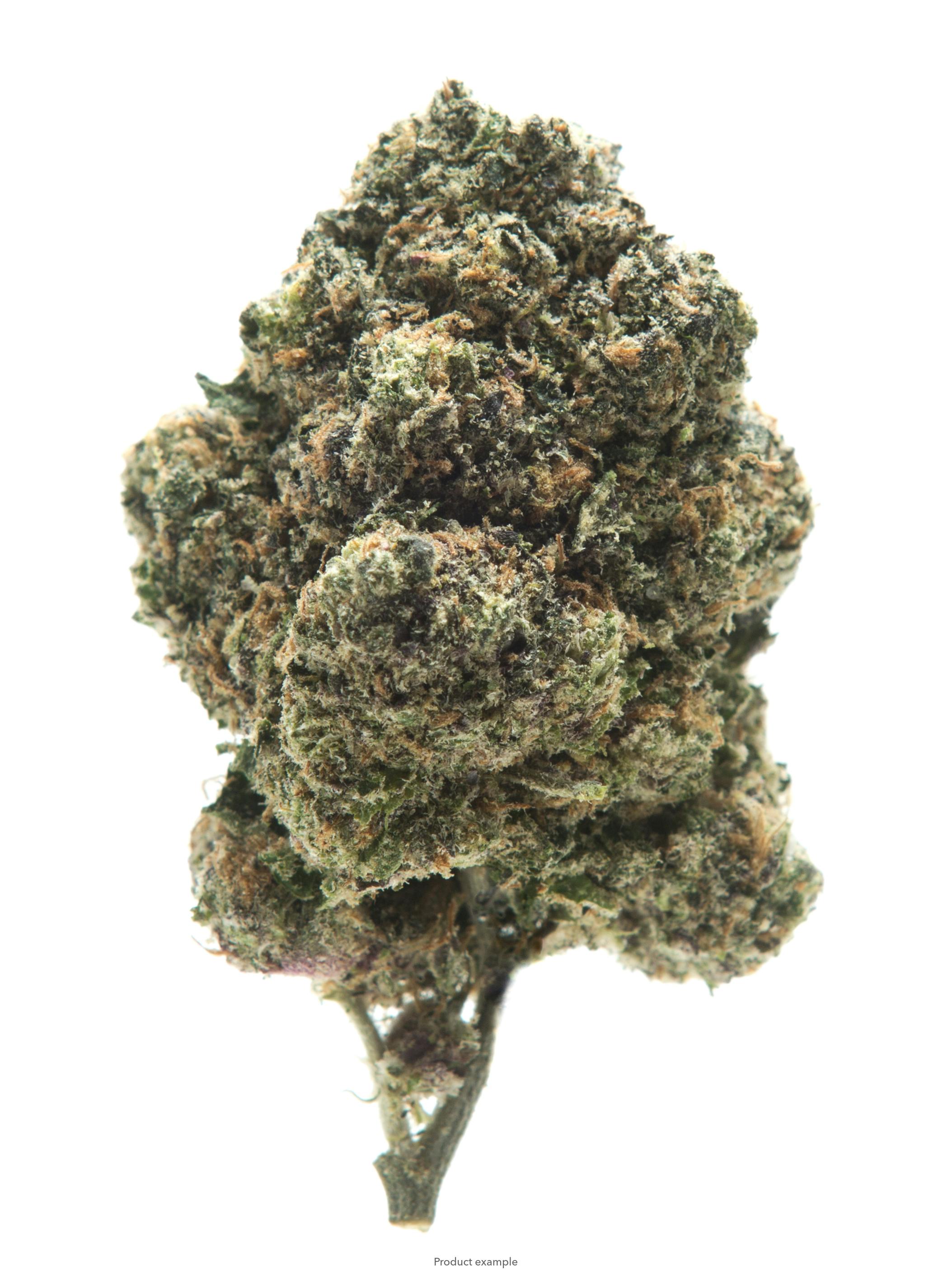 TOP SHELF Pre-Packed Flower- Gelato 41 21.28% (Hybrid)