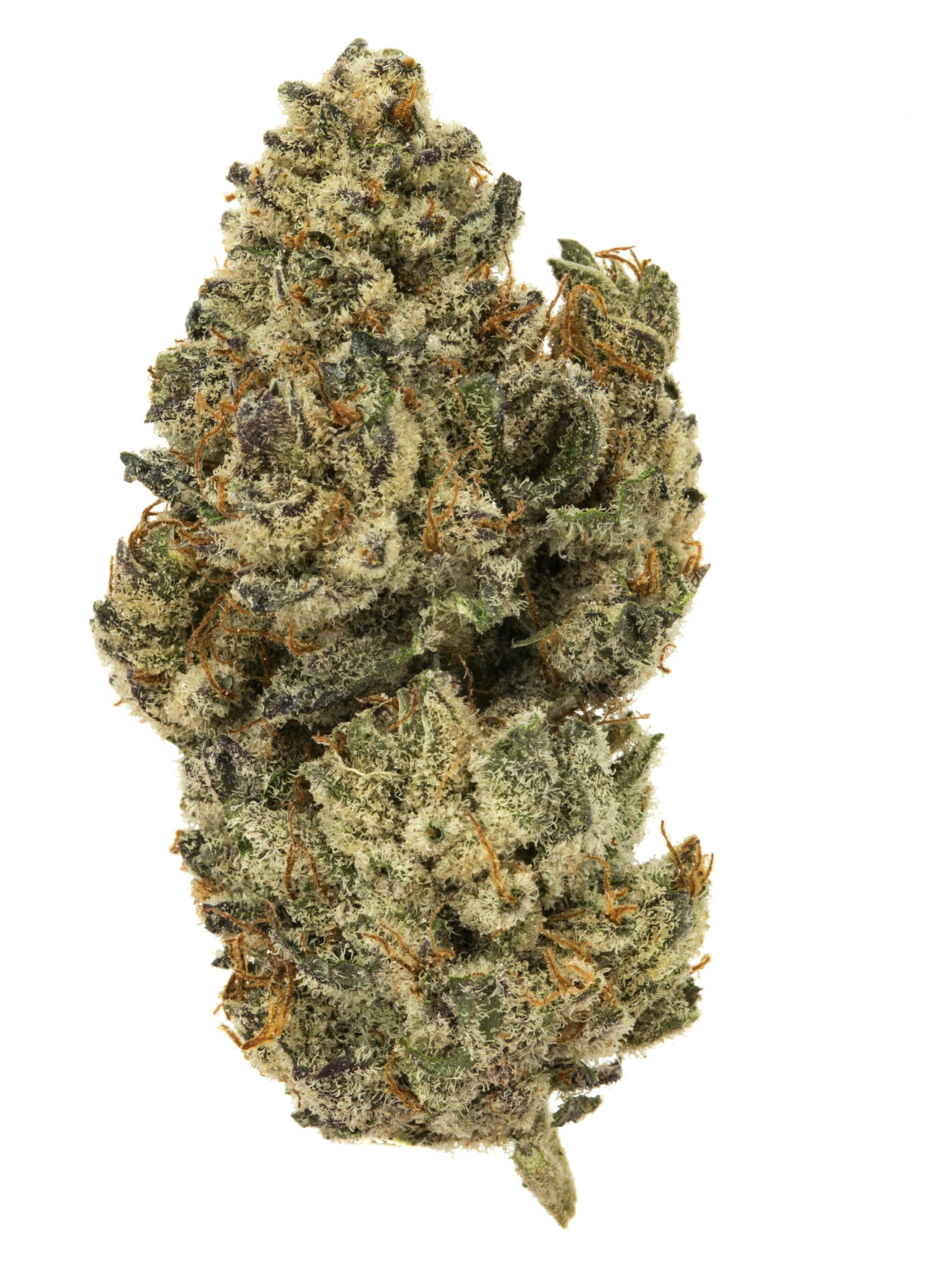MID SHELF Pre-Packed Flower- Gary Cake 26.18%