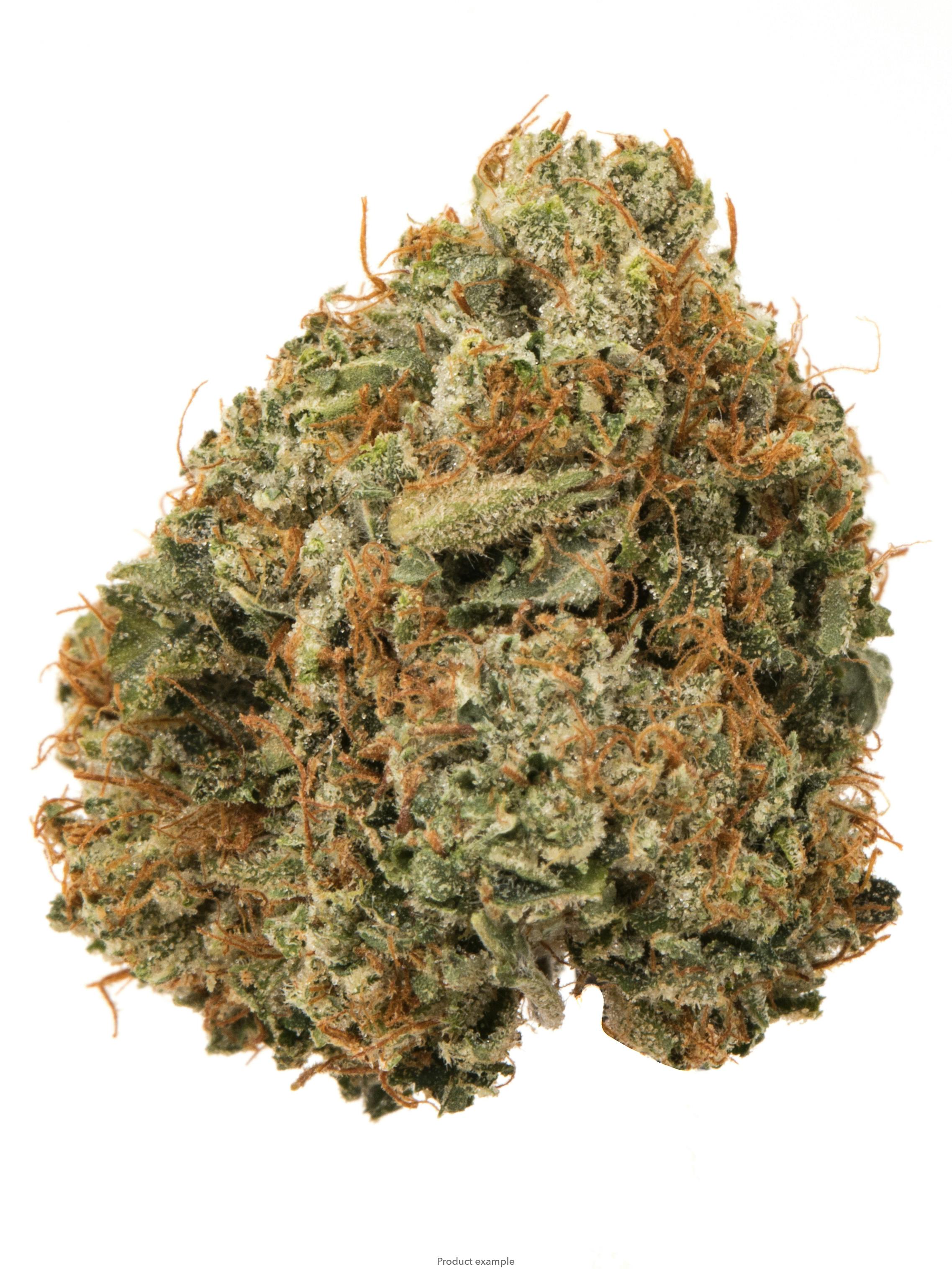 TOP SHELF Pre-Packed Flower- Han Solo x Donny Burger 25.38 (Indica)