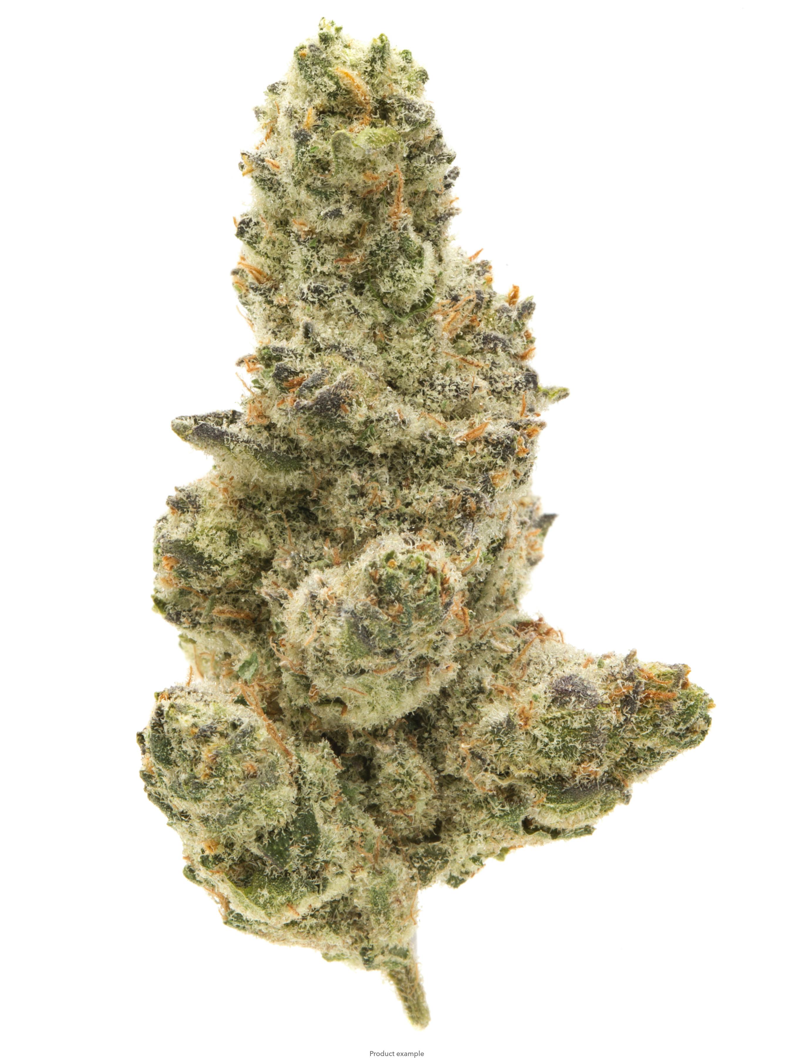 EXOTIC 3.5g Flower- Cream pop #2 (H)