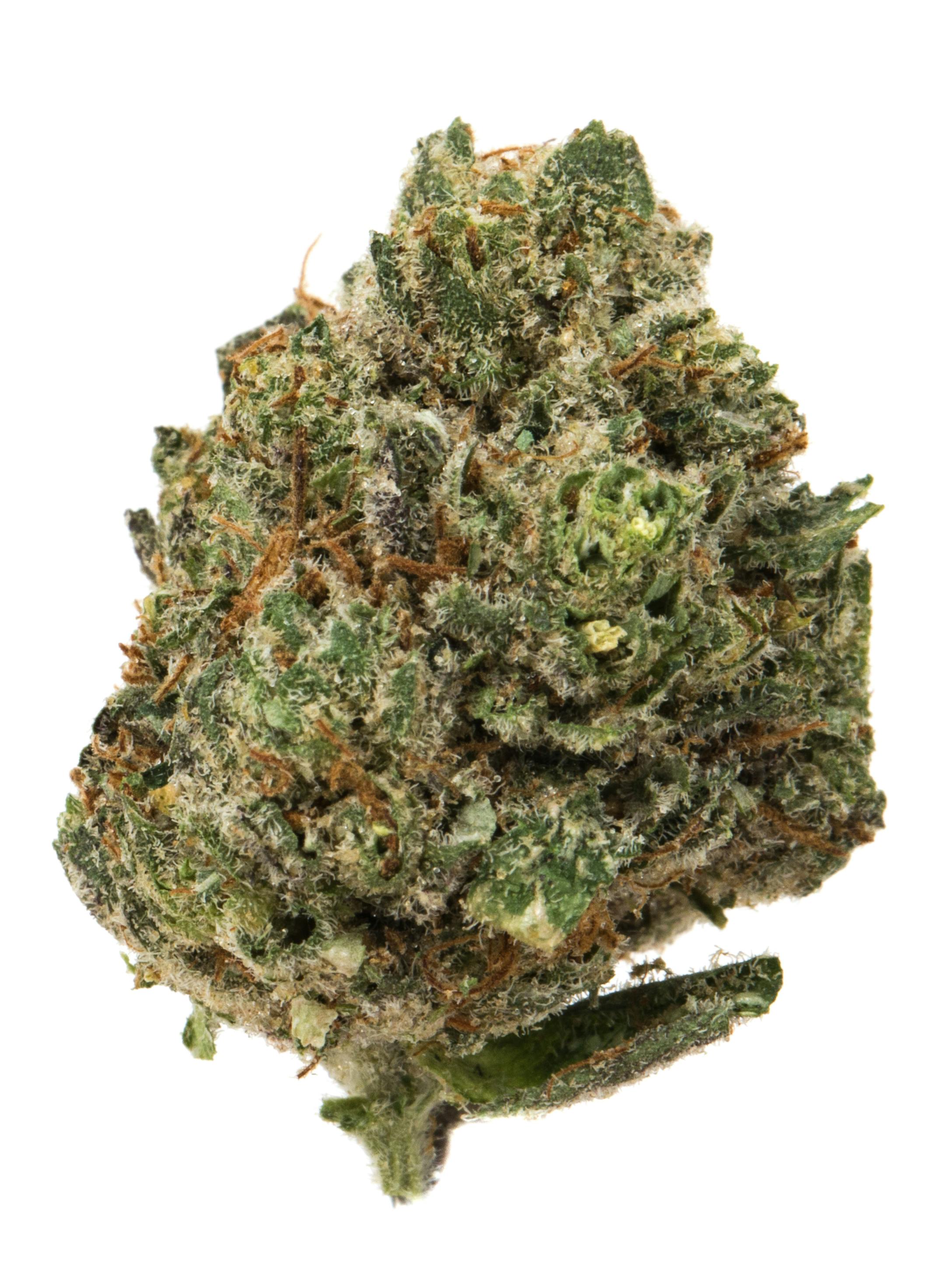 TOP SHELF Pre Packed Flower- Modified Bananas 30.25%