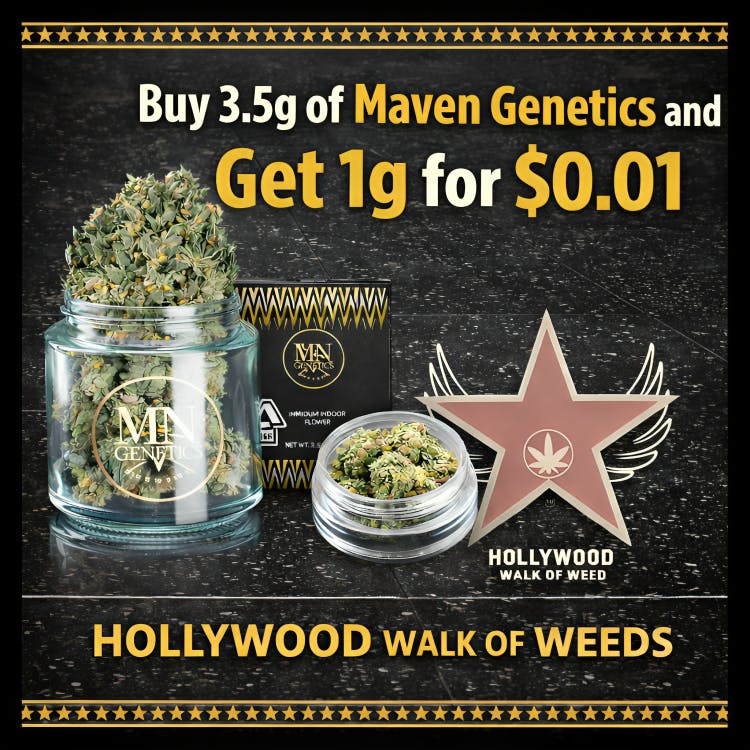 Maven Genetics — Blueberry Zkittlez