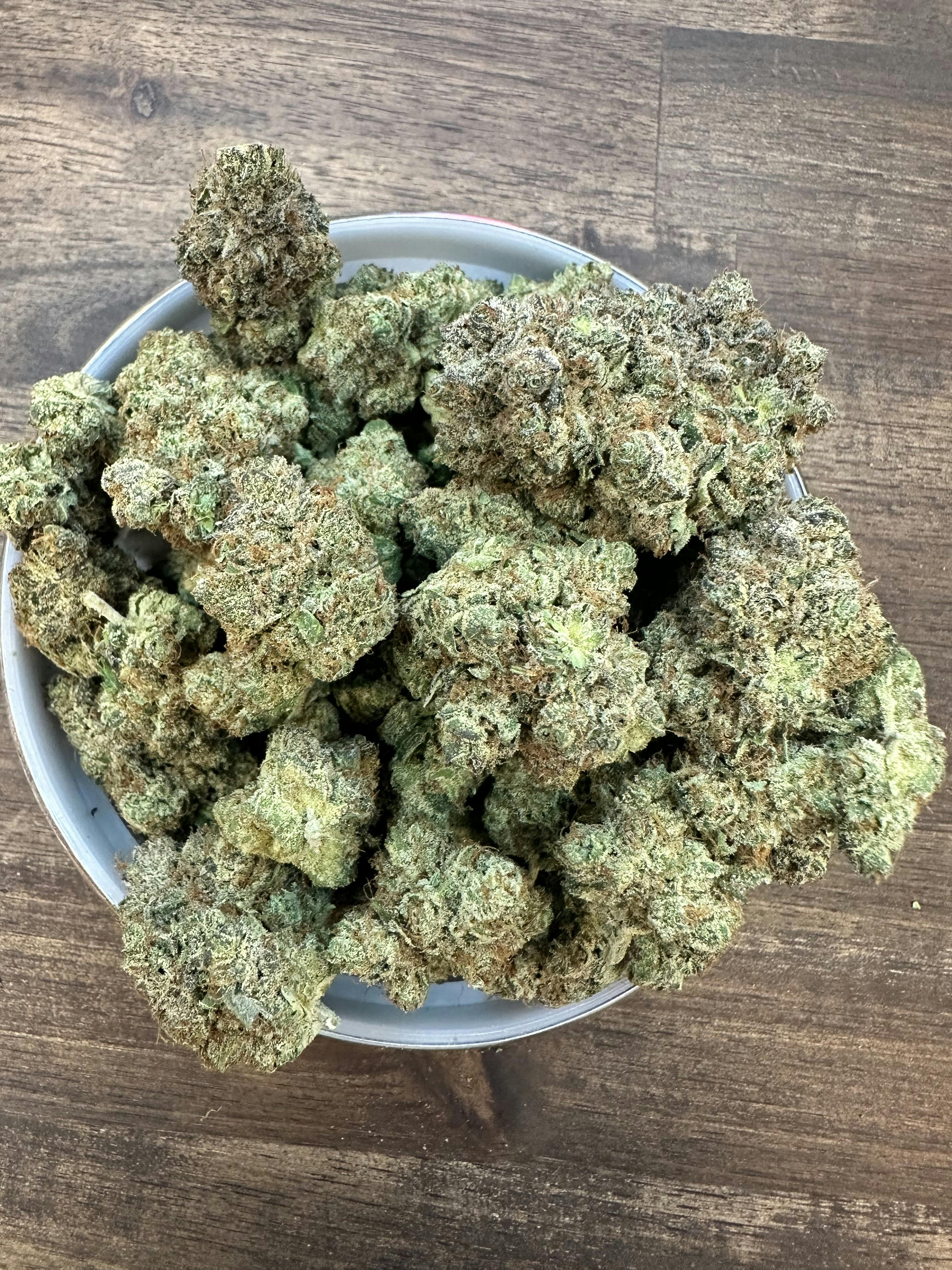 Lemon Tree x Party Florida Gold