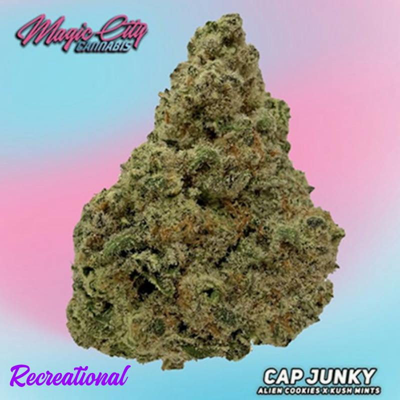 Magic City - Cap Junky (H) -REC