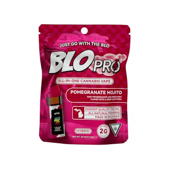 Blo Pro - Pomegranate Mojito - 2g Disposable (REC)