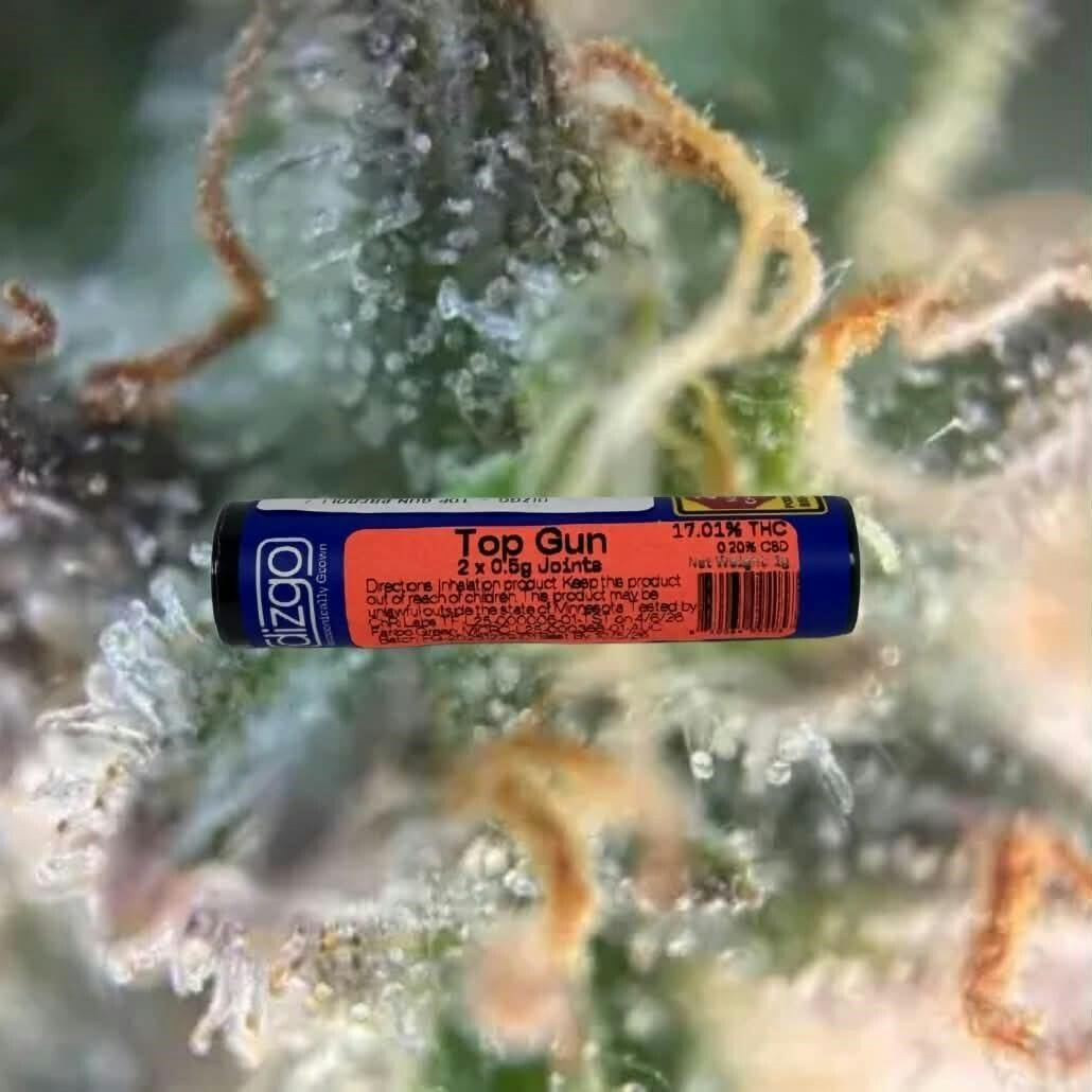 Dizgo - Top Gun Preroll (3) 0.33g at Litt Dispensary