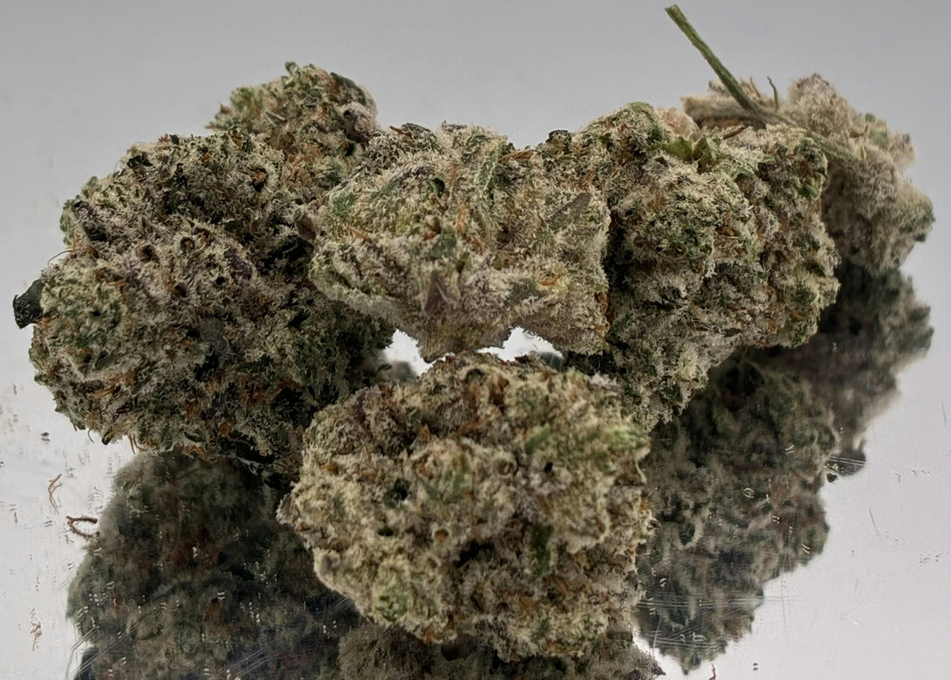 Donkey Butter #9