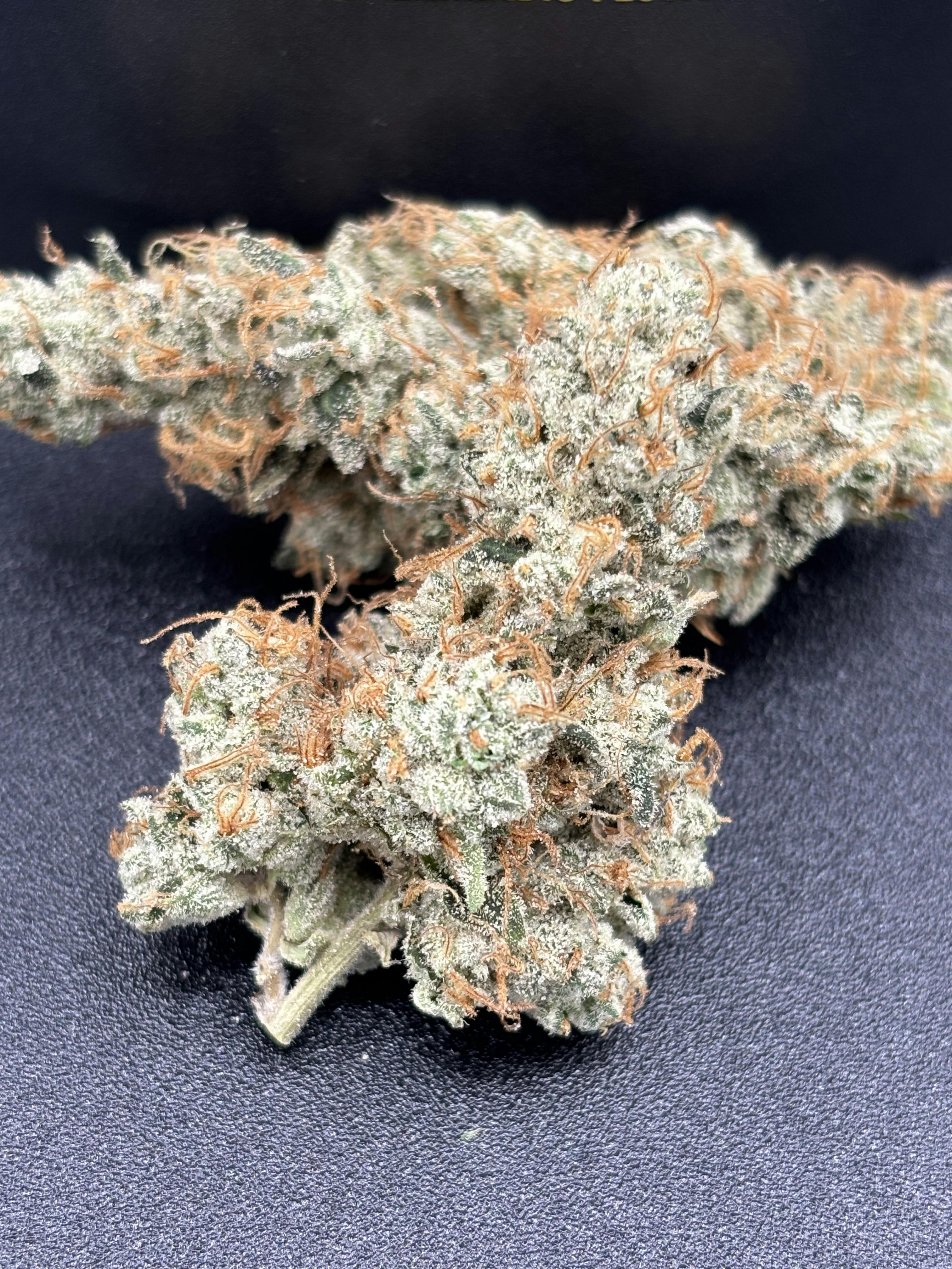 GMO