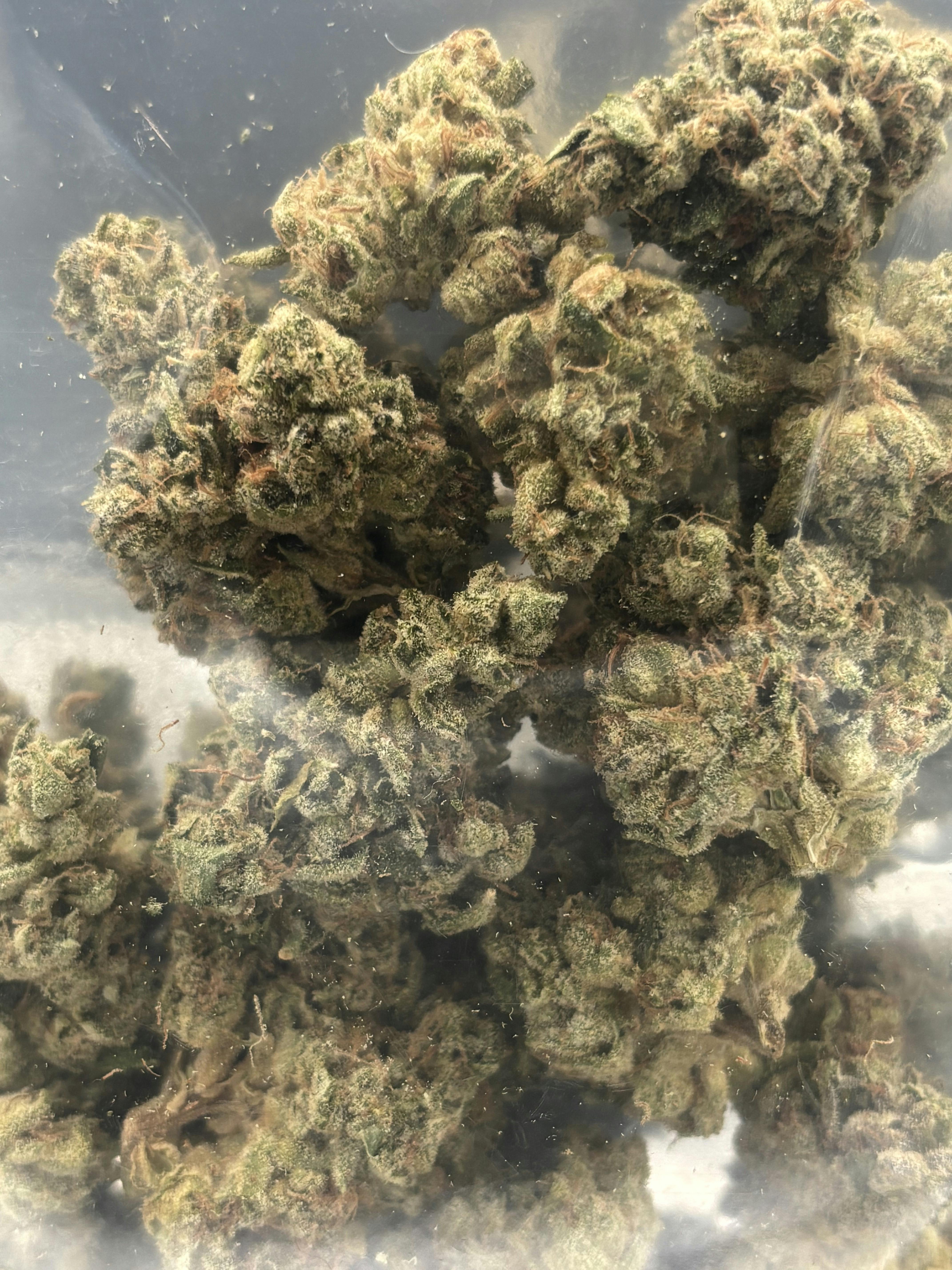 14g Prepacked Pie Scream x Headband