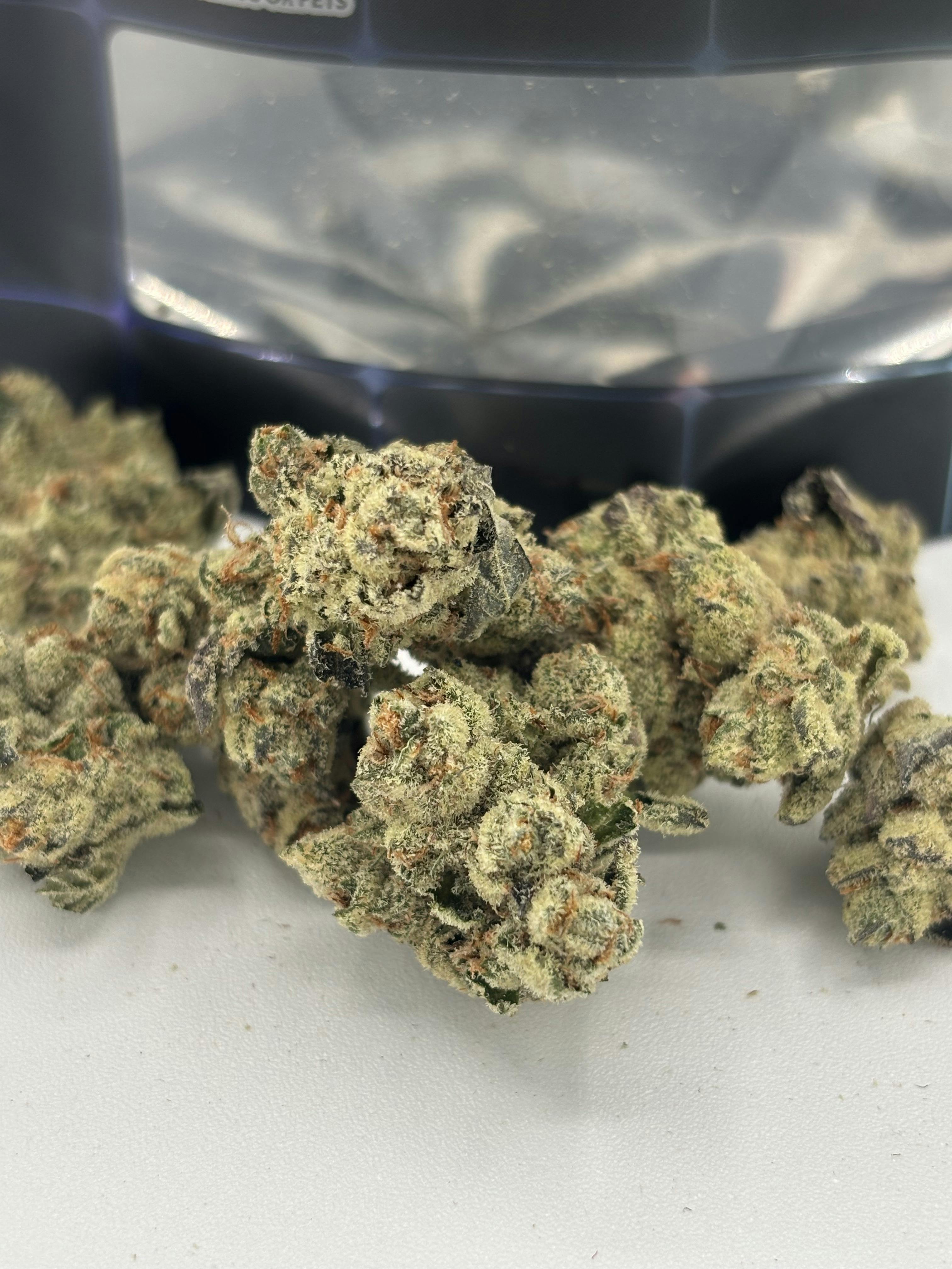 GASTRONAUT - 14g PREPACK
