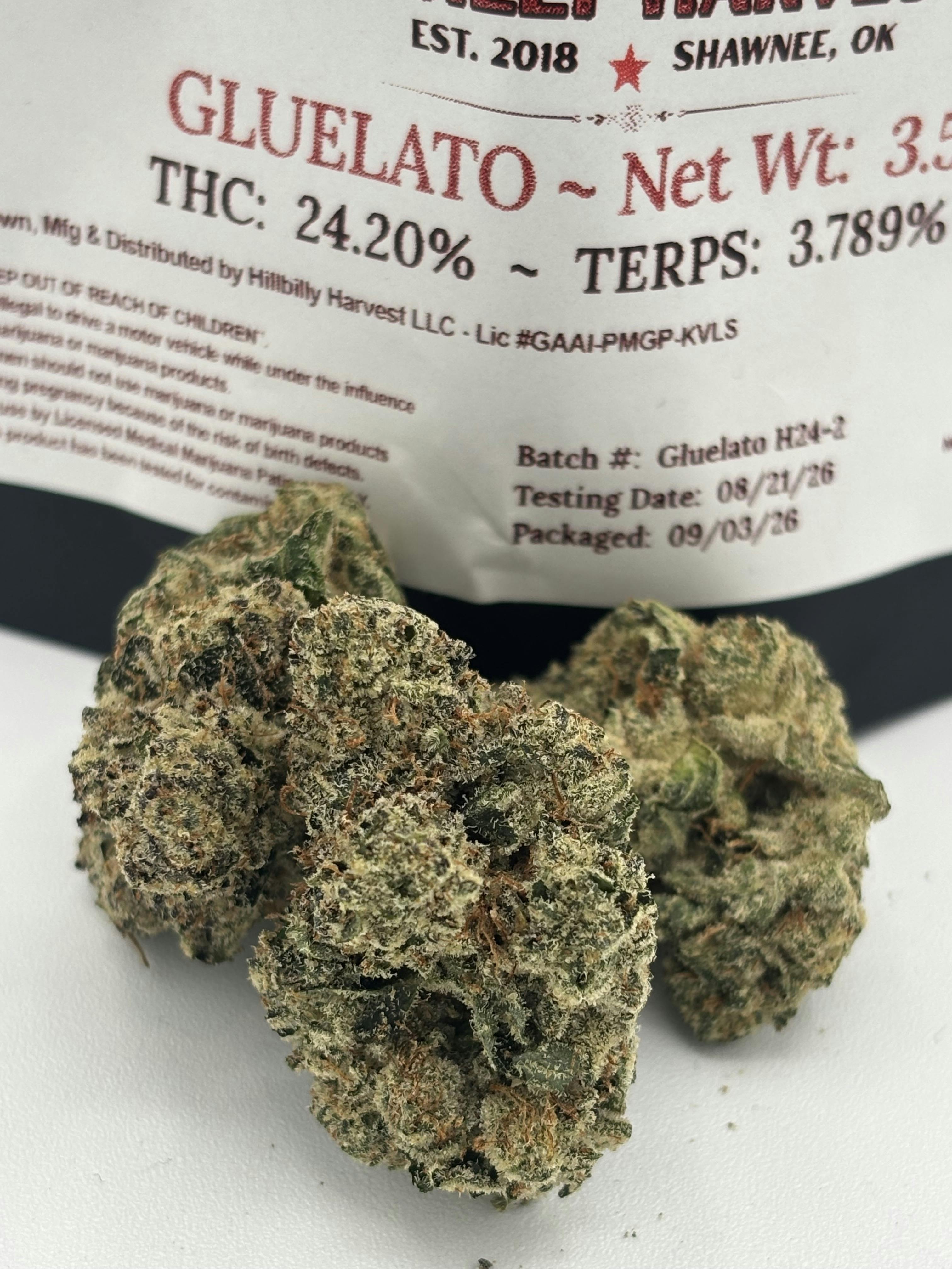 Gluelato 3.5 Grams