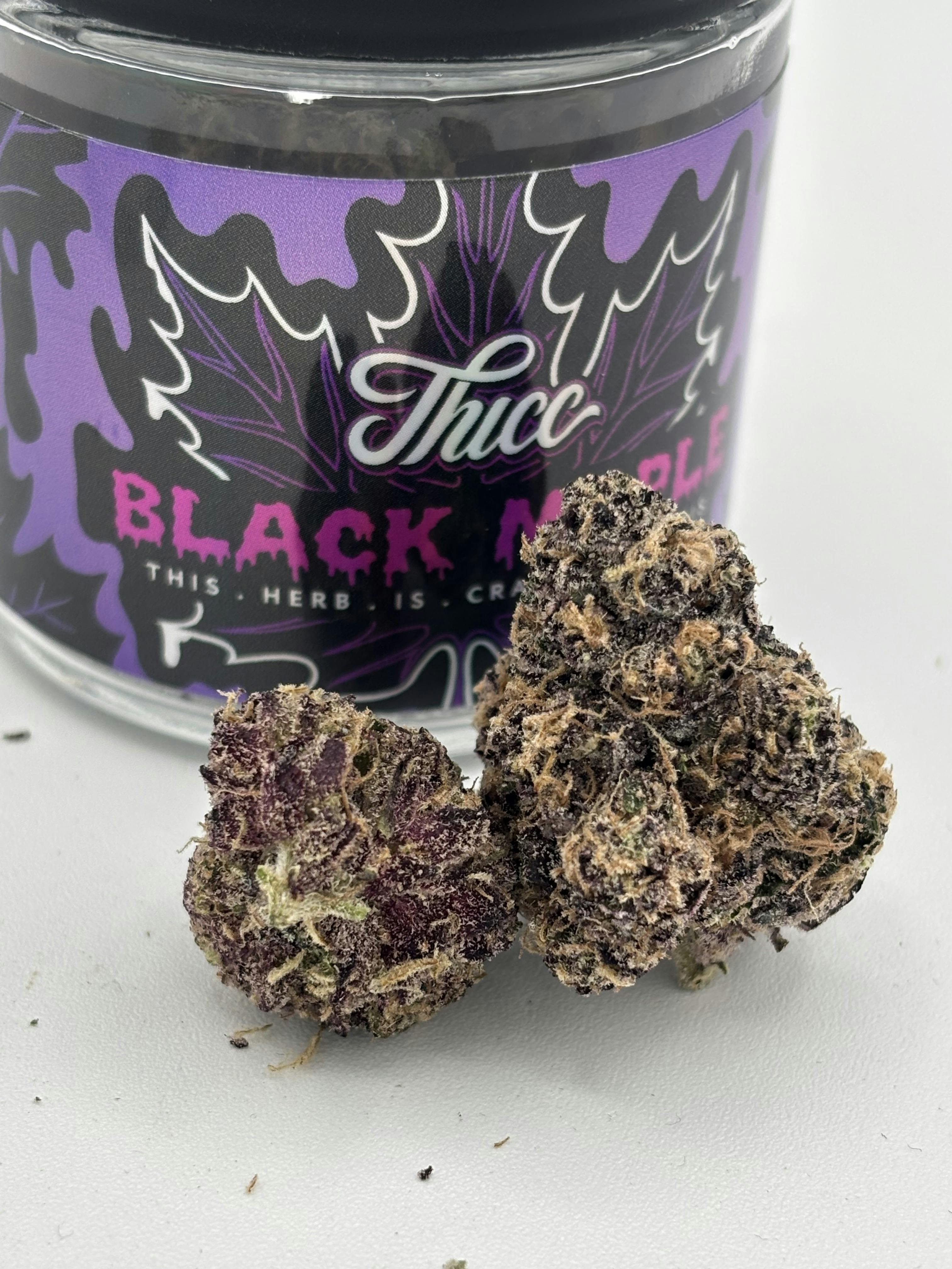 Black Maple | (EIGHTHS)